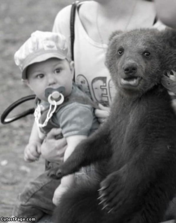 Bear And Kid