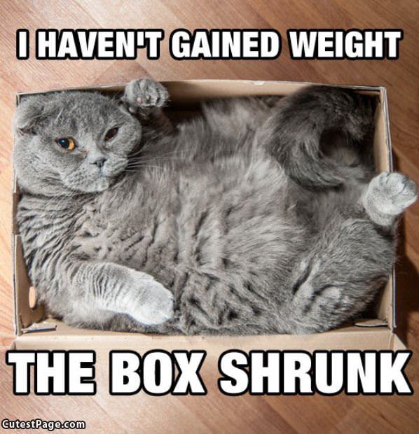 Box Shrunk