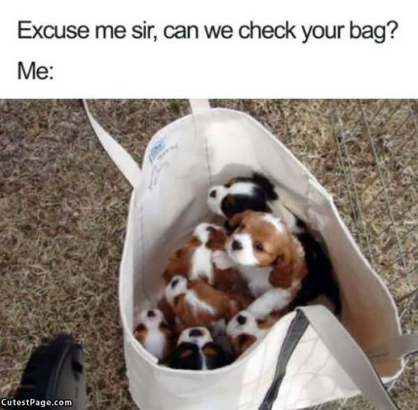 Can We Check Your Bag