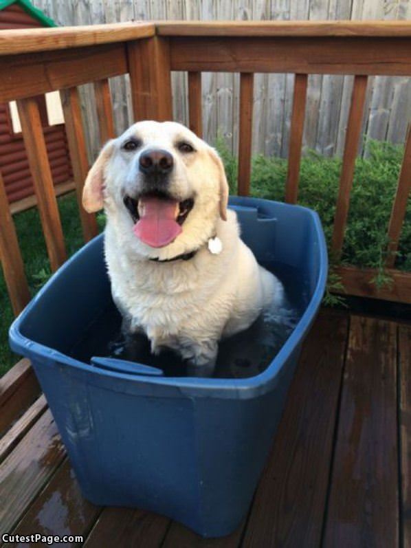 Cooling Off On A Hot Day