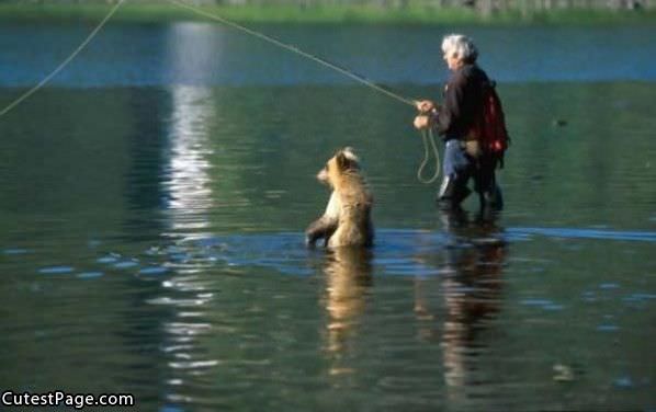 Cute Bear Fishing
