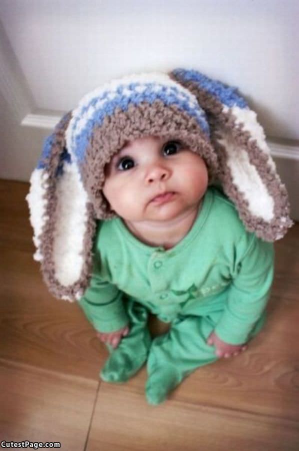 Cute Bunny Ears