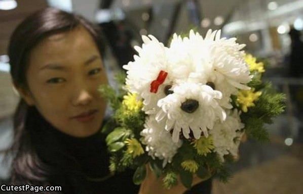 Cute Dog Bouquet