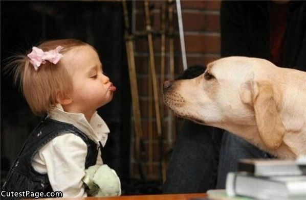 Cute Dog Kisses