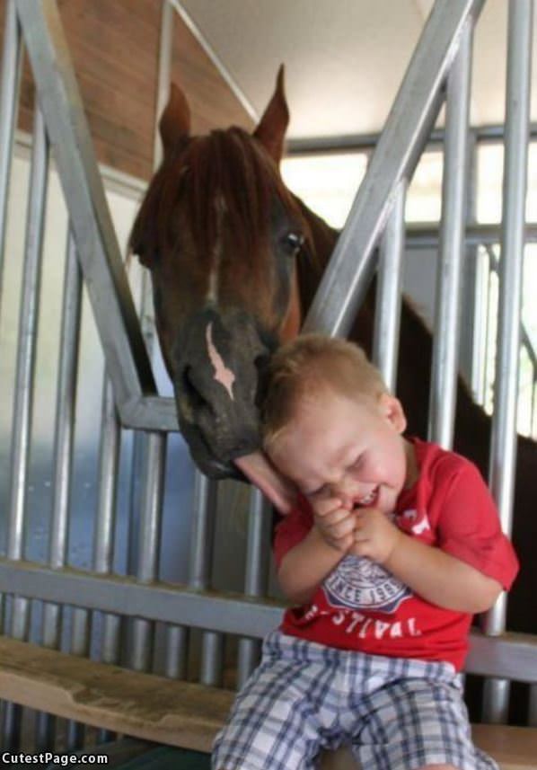 Cute Horse And Baby