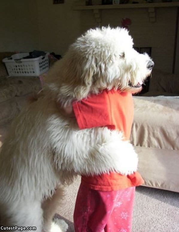 Cute Hugging Dog