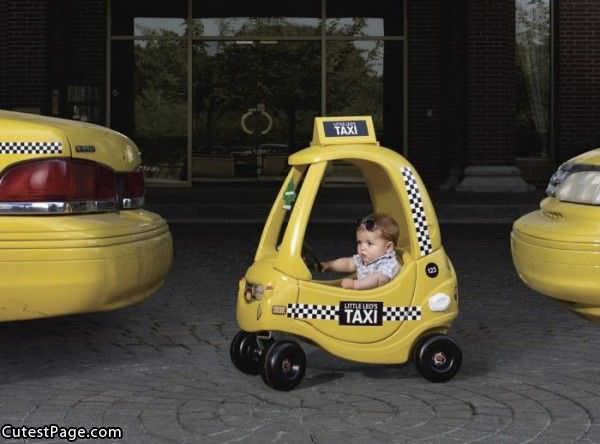 Cute Little Taxi