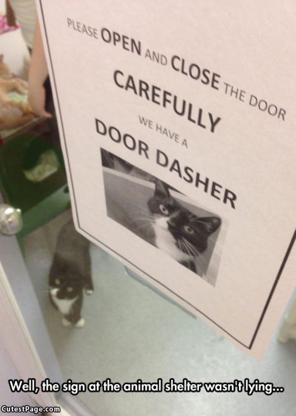 Door Dasher