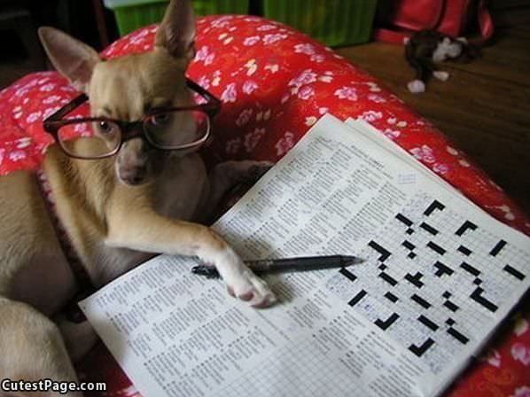Finished Your Crossword