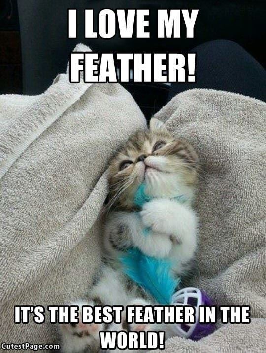 I Love My Feather