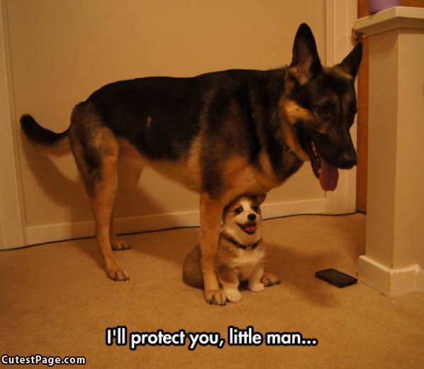 Ill Protect You