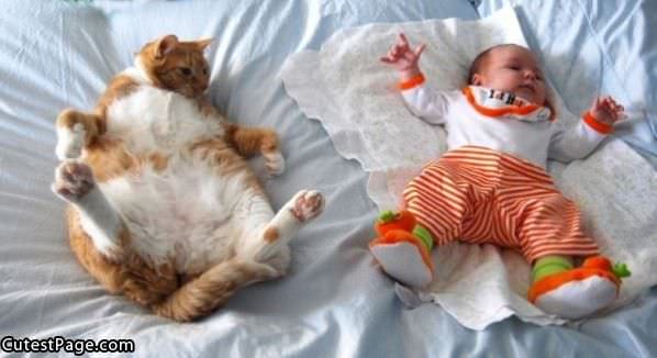 Kitty And Baby