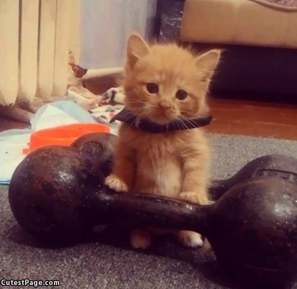 Lifting Some Weights