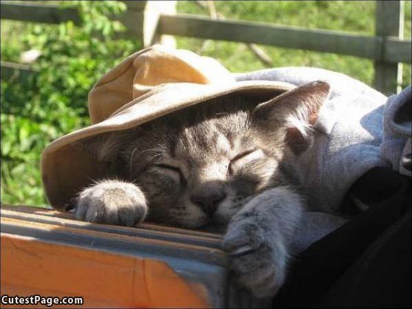 Mah Sleeping Hat