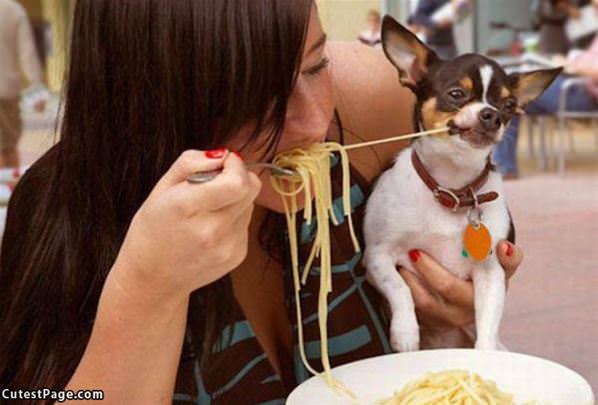 Mmmm Spaghetti