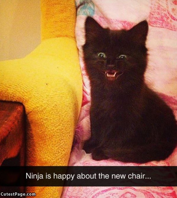 Ninja Is Happy
