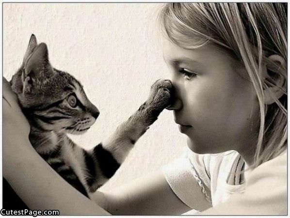Ohh I Got Your Nose Cat