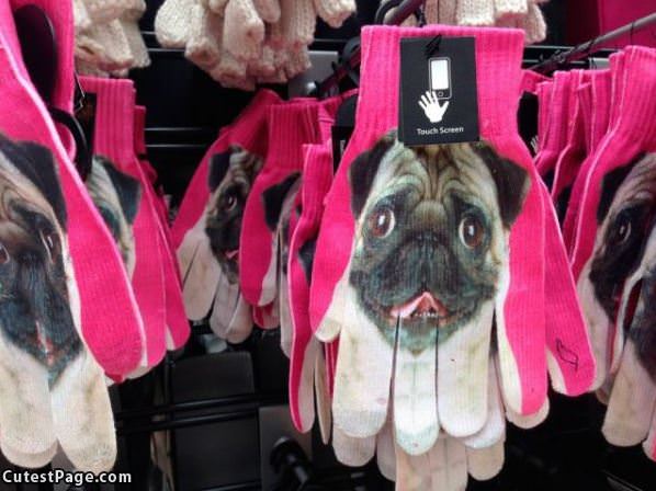 Pug Gloves