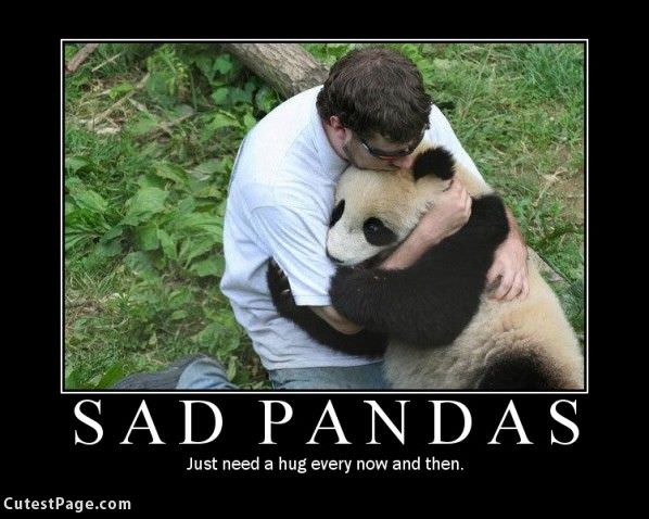 Sad Cute Pandas