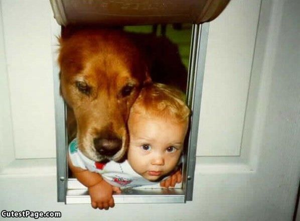 Sharing The Cute Doggy Door