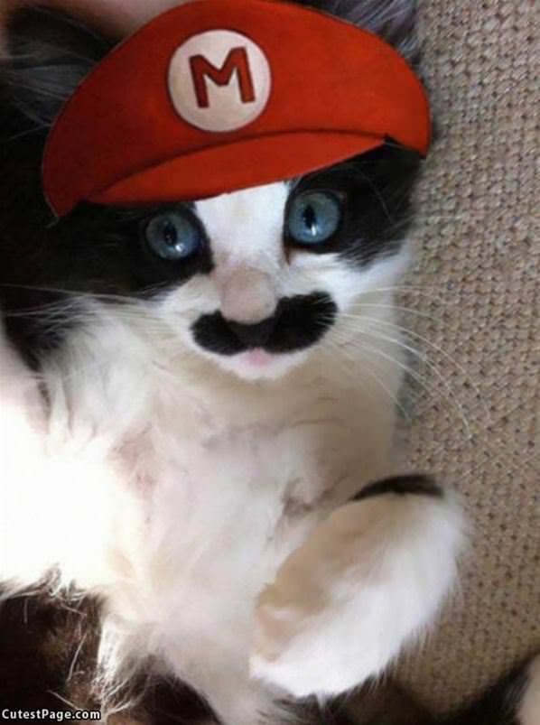 Super Mario Cat