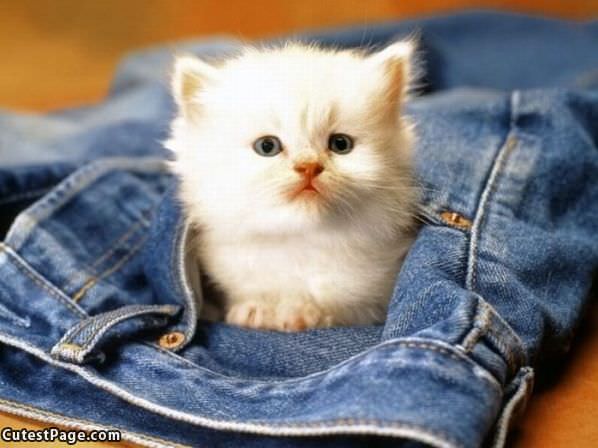 These Jeans Are Warm