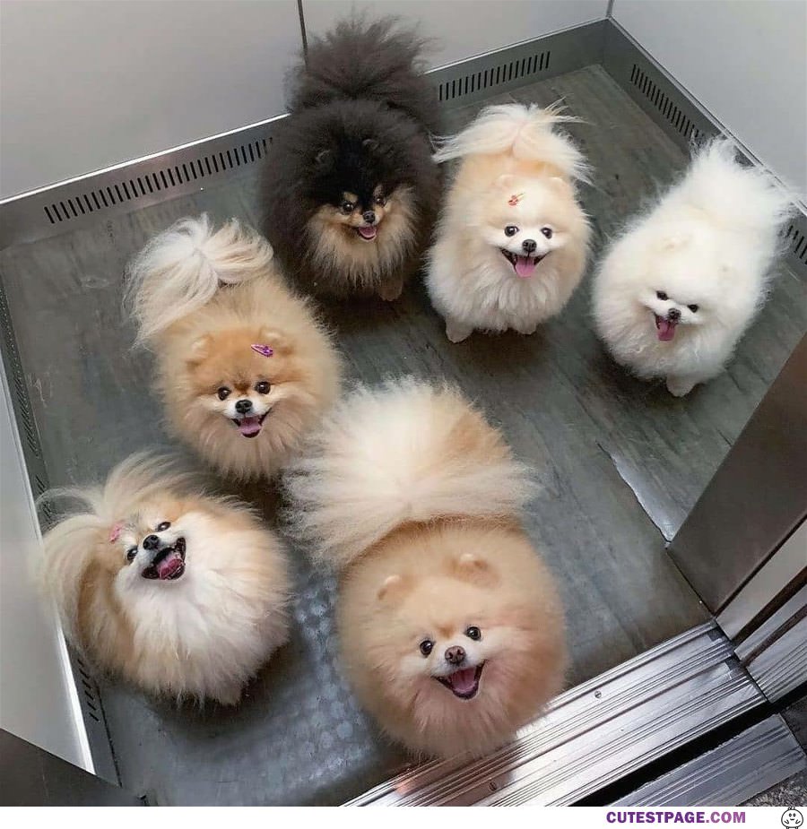 We Are Happy To See You