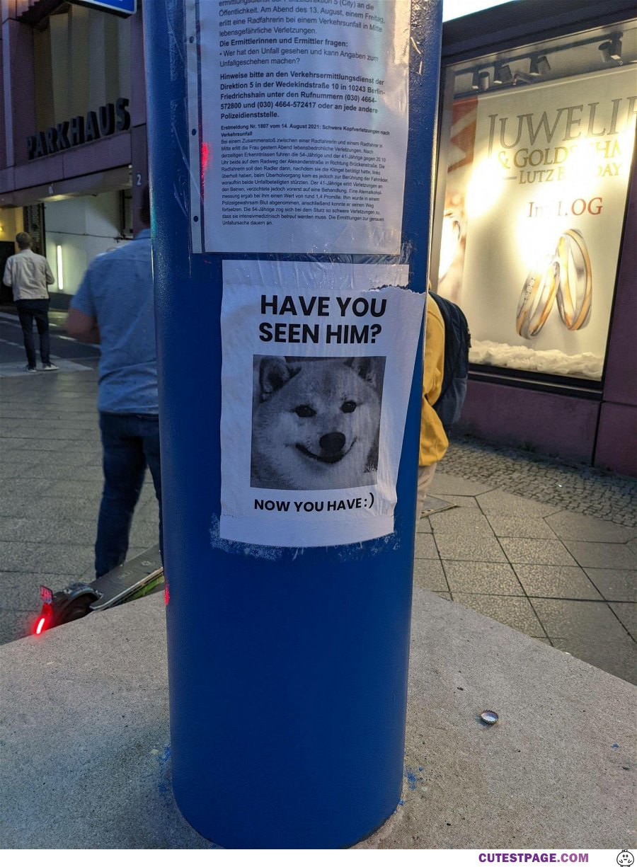 Have You Seen Him