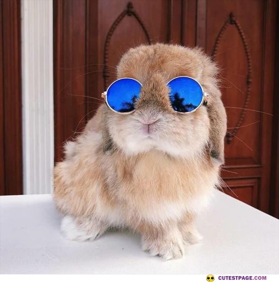 Hey There