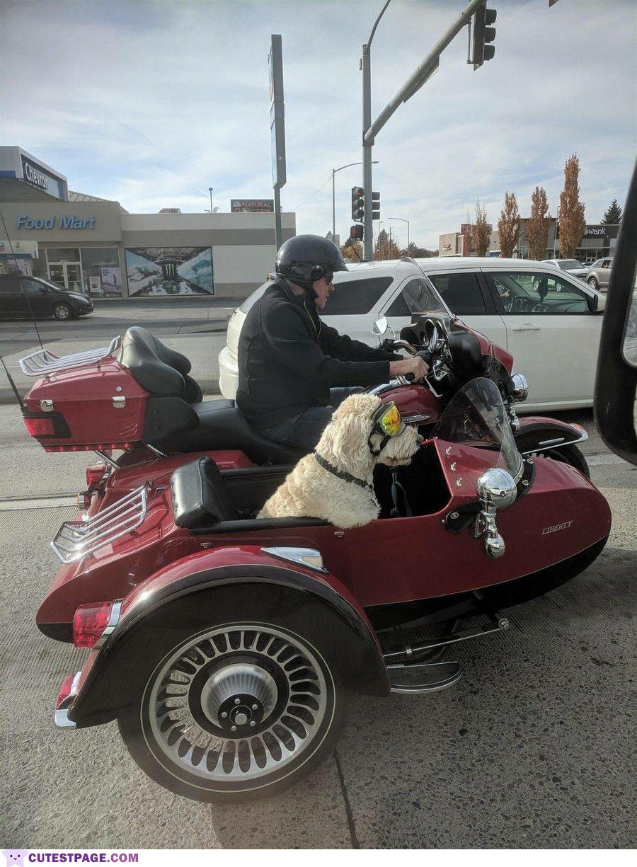 Out For A Ride