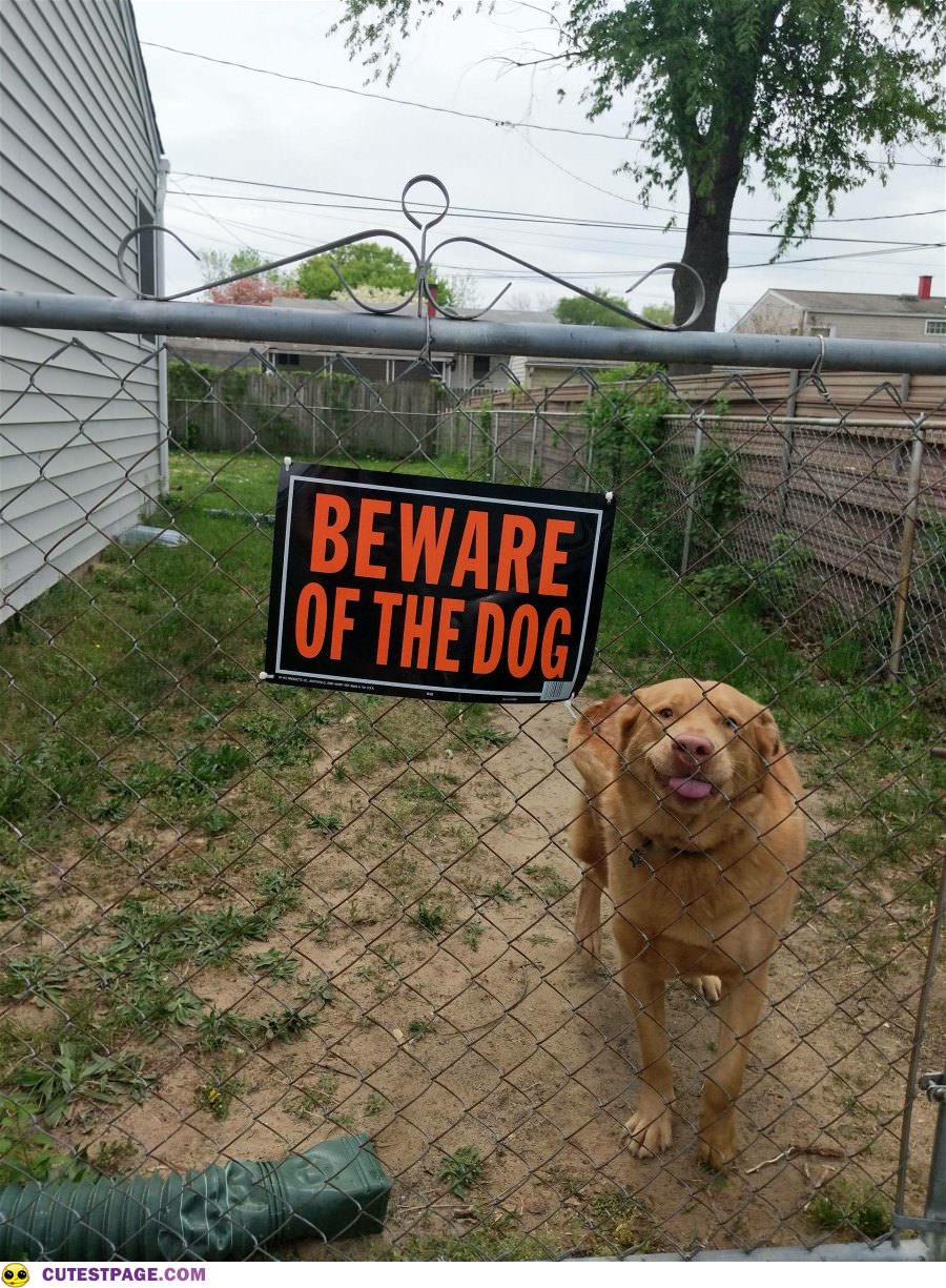 Beware Of The Dog