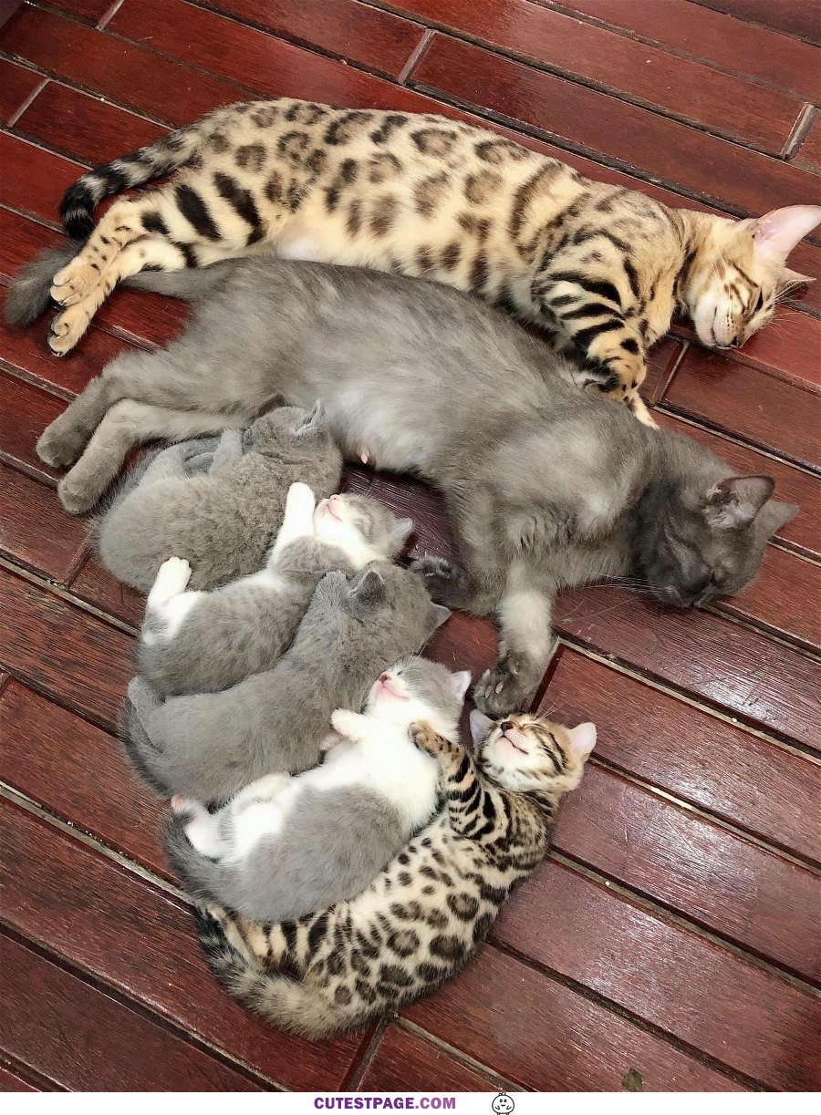 Chilling Out With Momma