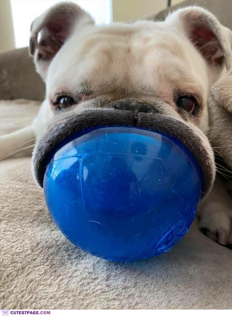 I Love My Ball