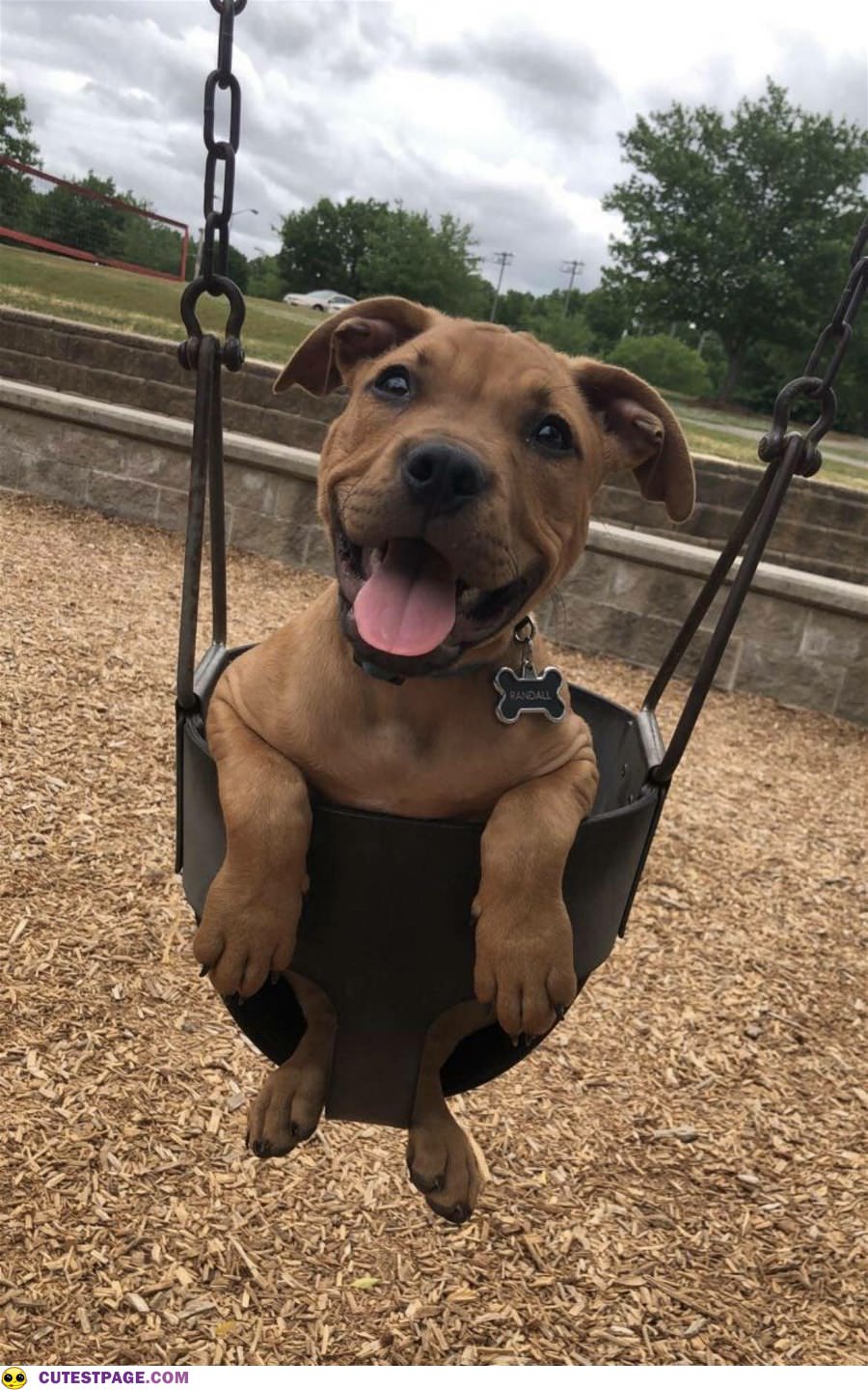 I Love Swinging