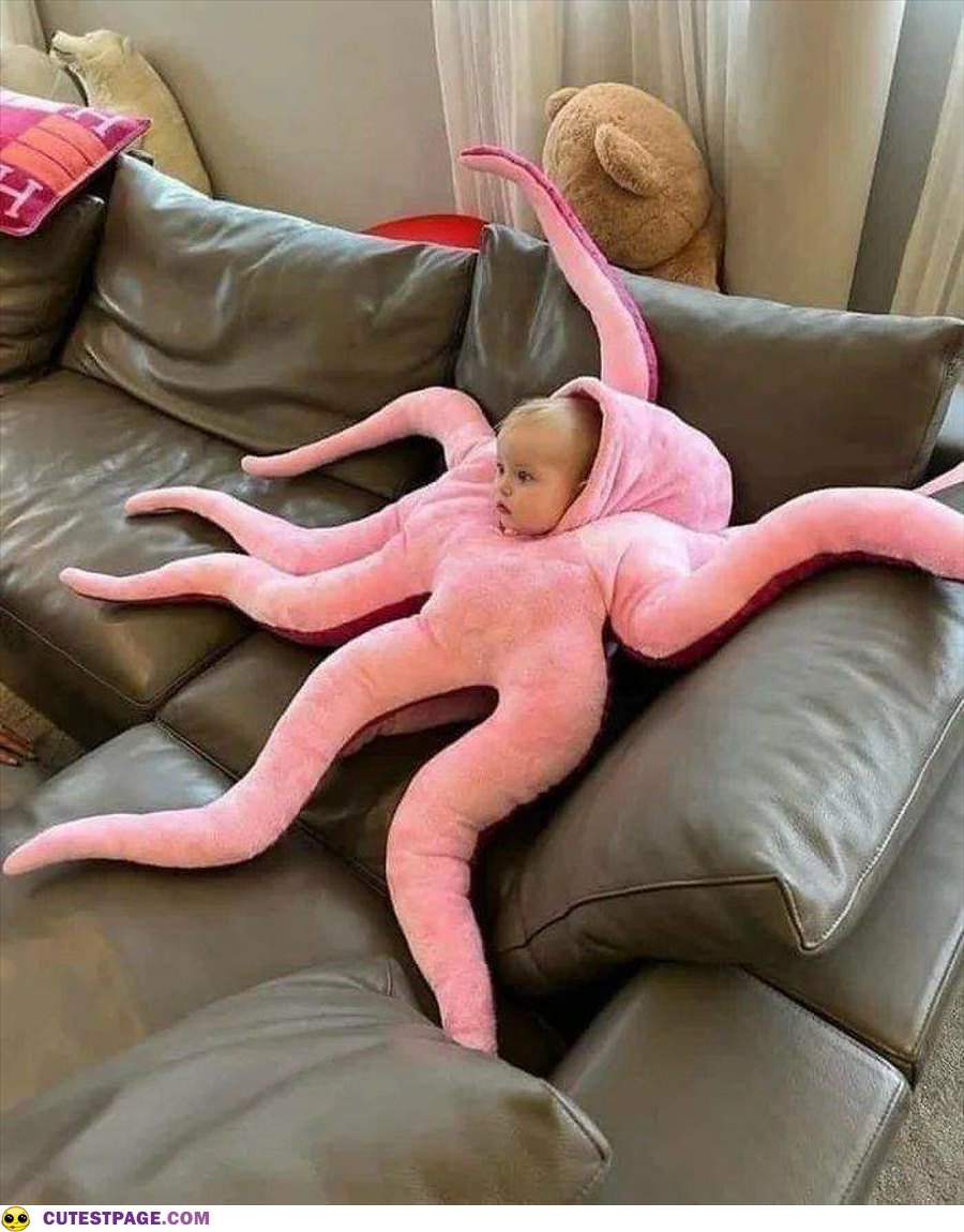 Octopus