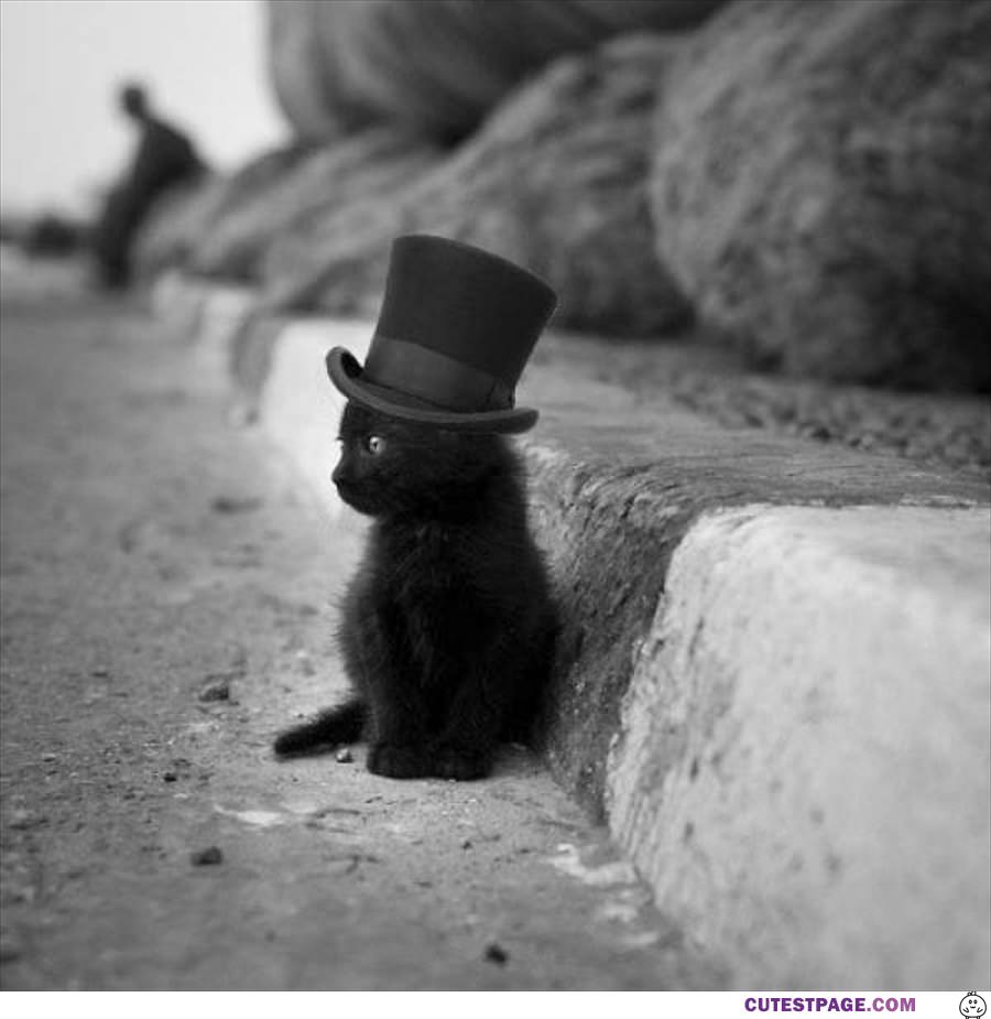 Chilling In My Top Hat