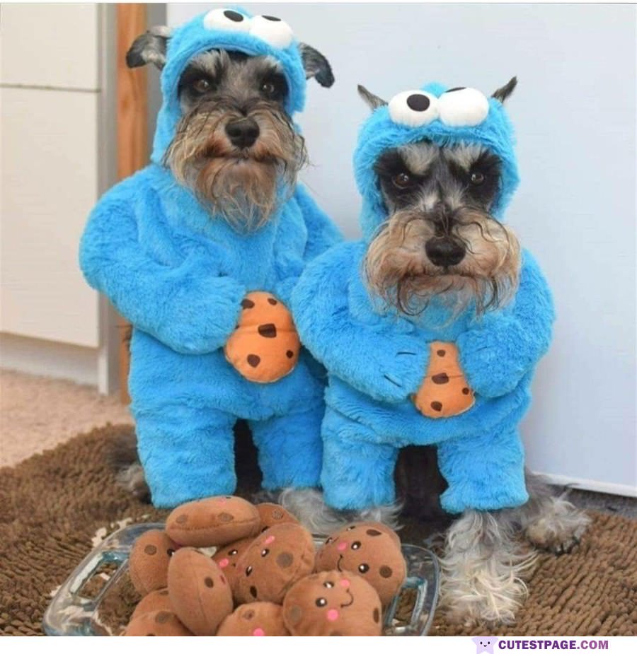 The Cookie Monsters