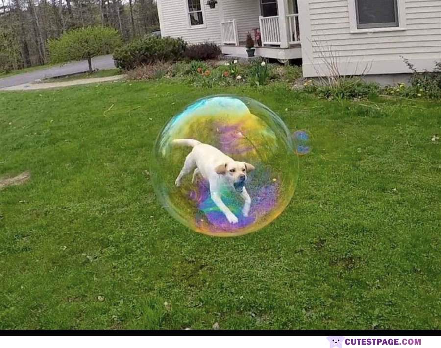 Bubble Poppwe