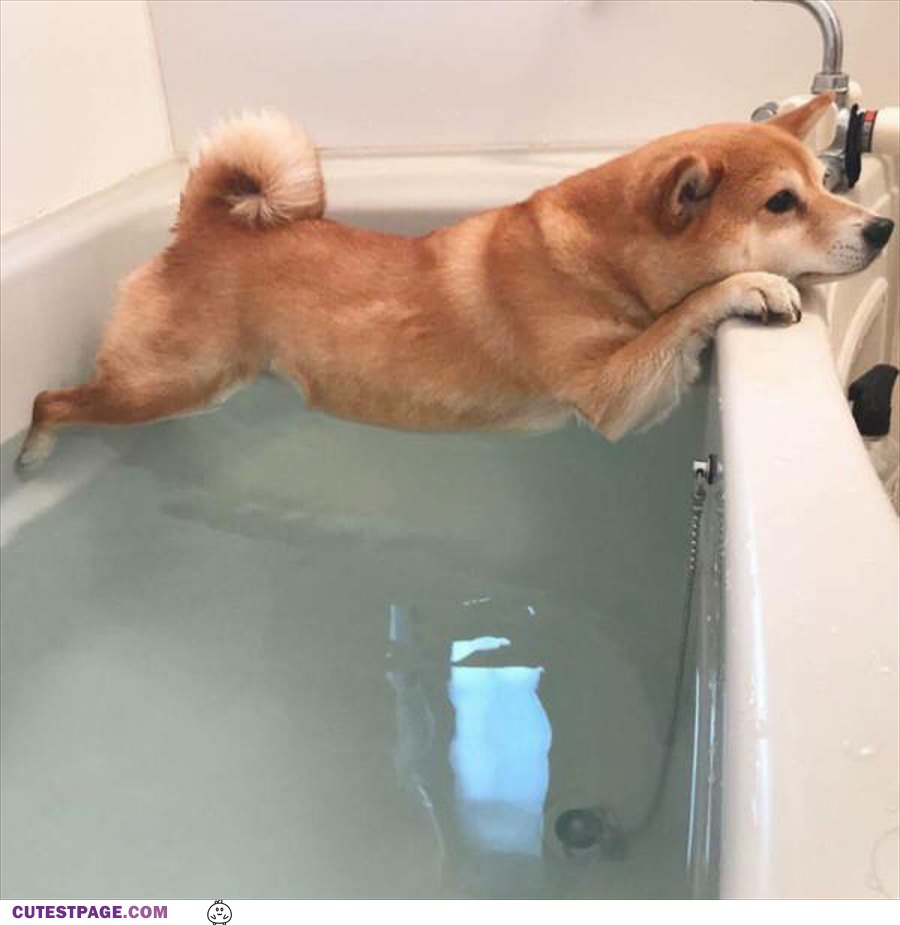 Do Not Want This Bath