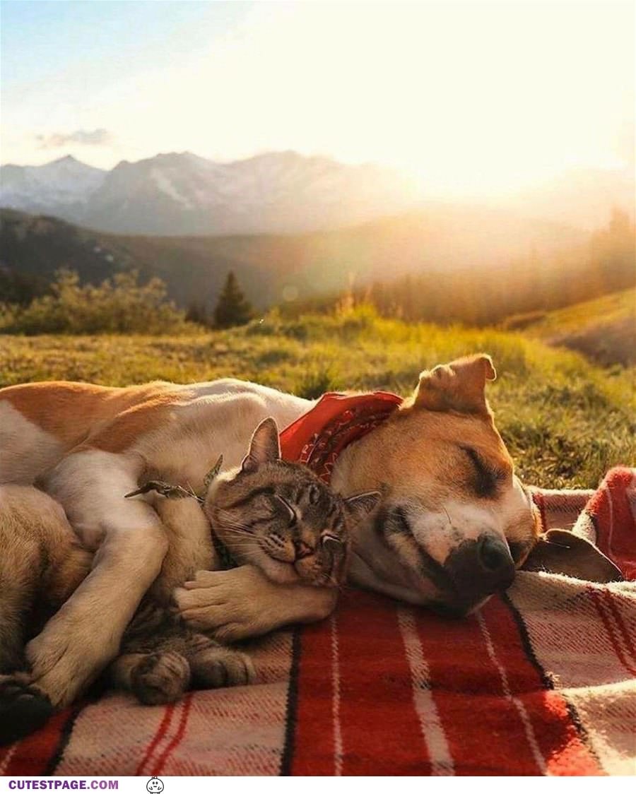 Relaxing Together