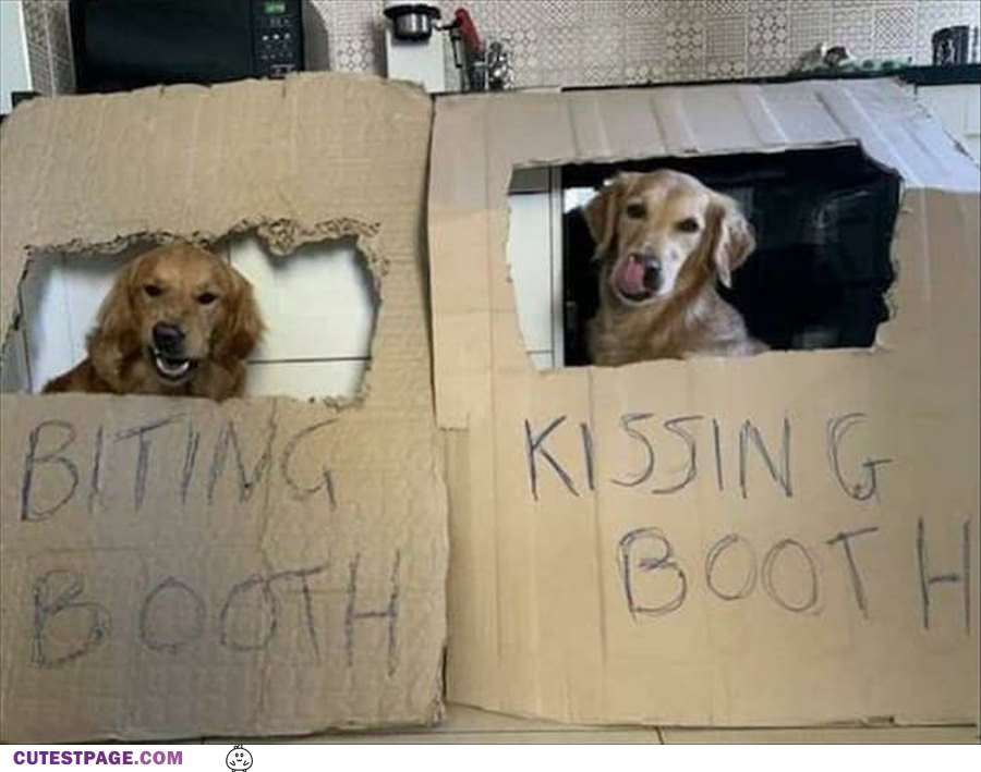 Kissing Booth