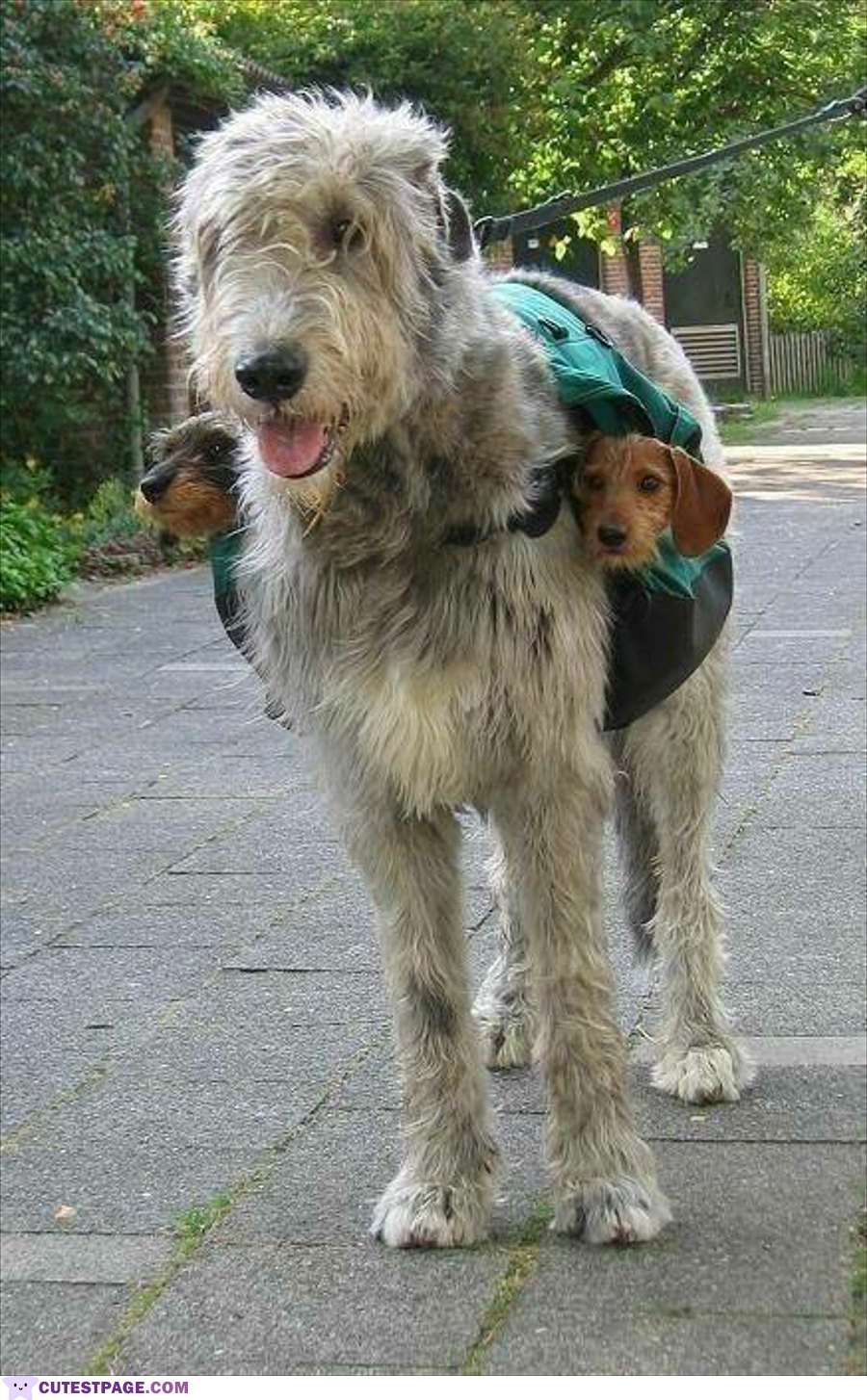 Got My New Sub Woofers