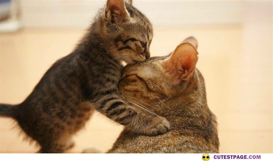 Kisses For Mom