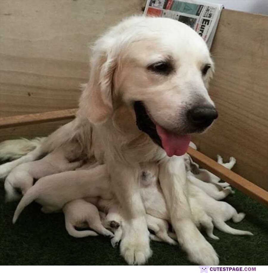Being A Mom Is Hard Work