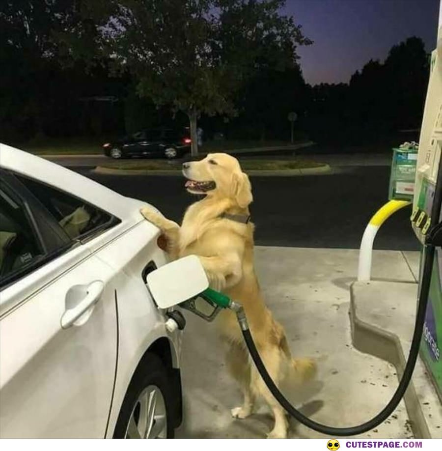 Just Pumping Some Gas