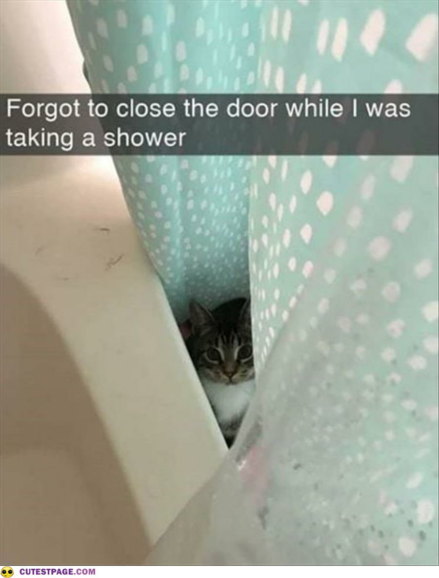 Forgot To Close The Door