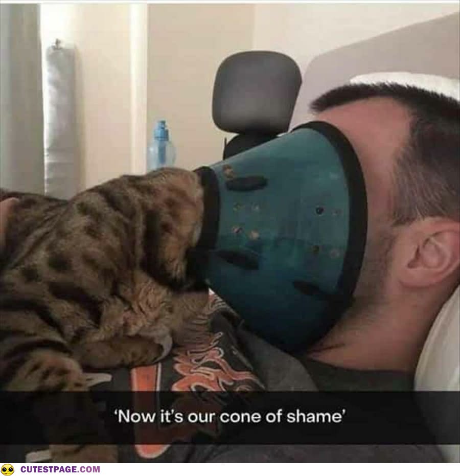 Our Cone Of Shame