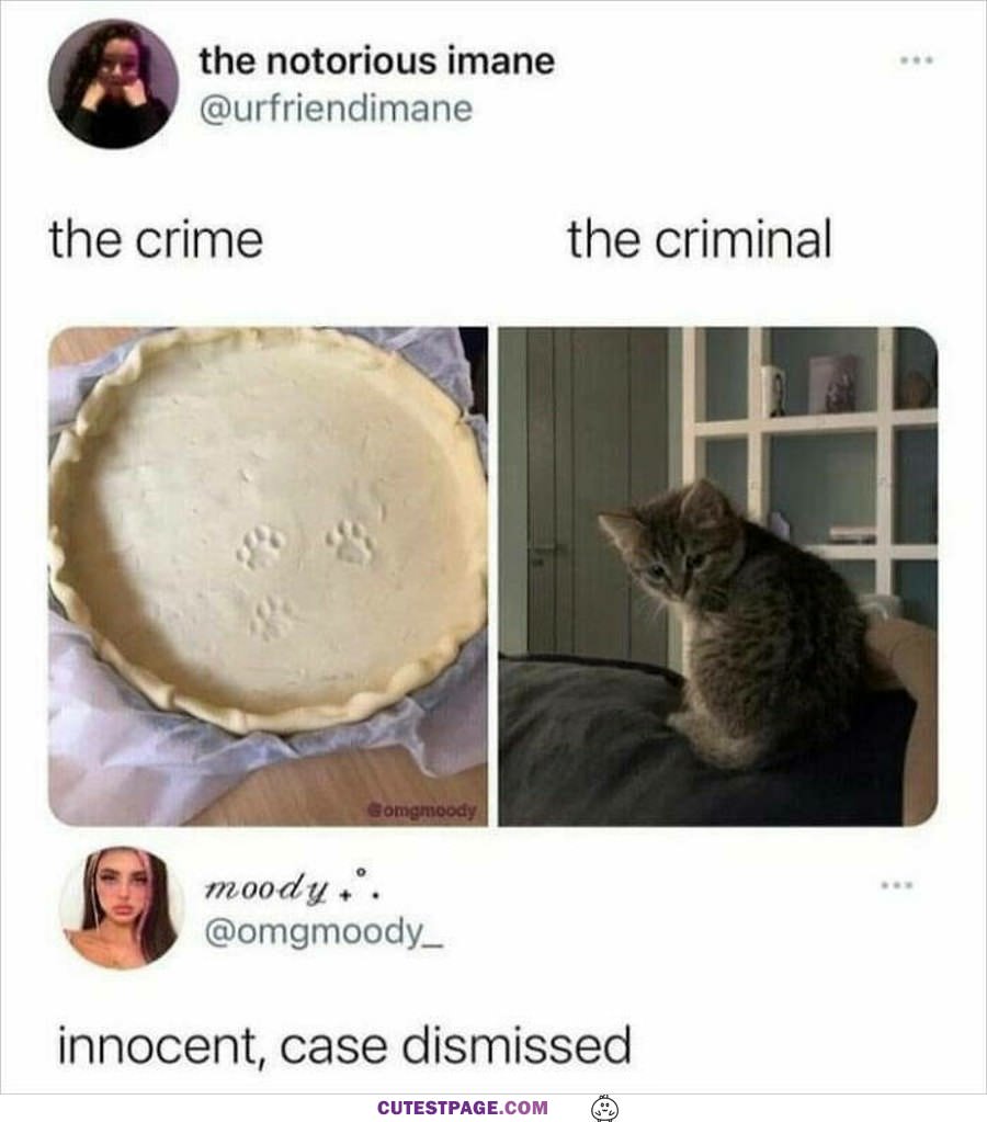 The Crime