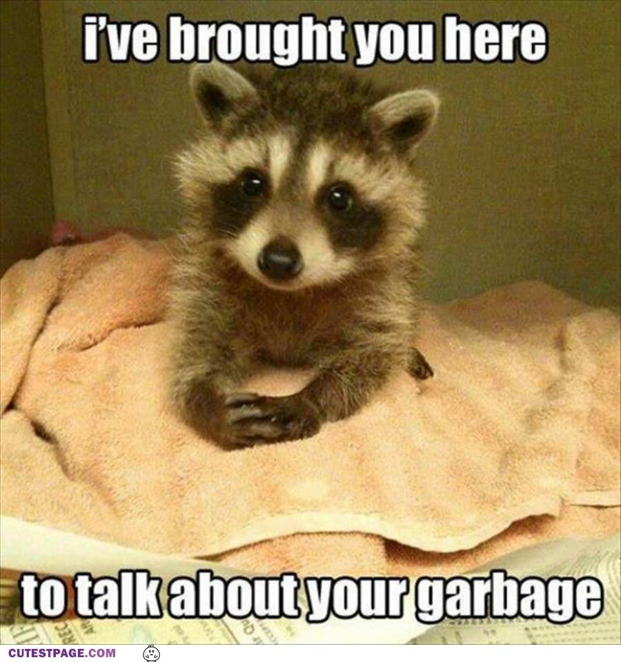 Why I Brought You Here