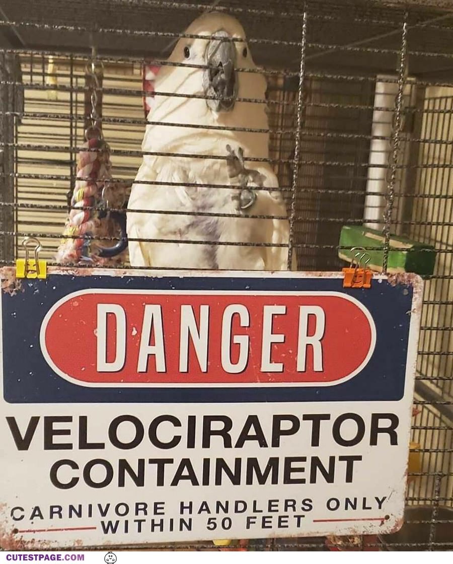 Danger Place